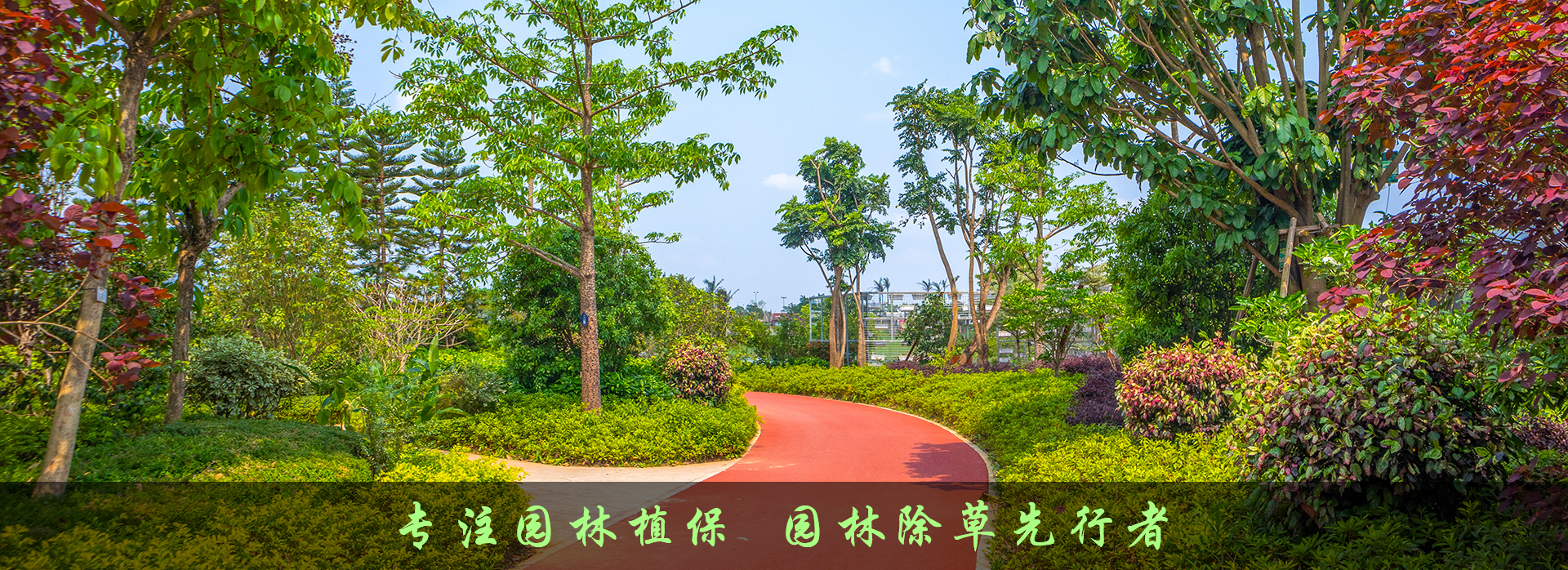 制砂廢水洗砂泥漿分離脫水
